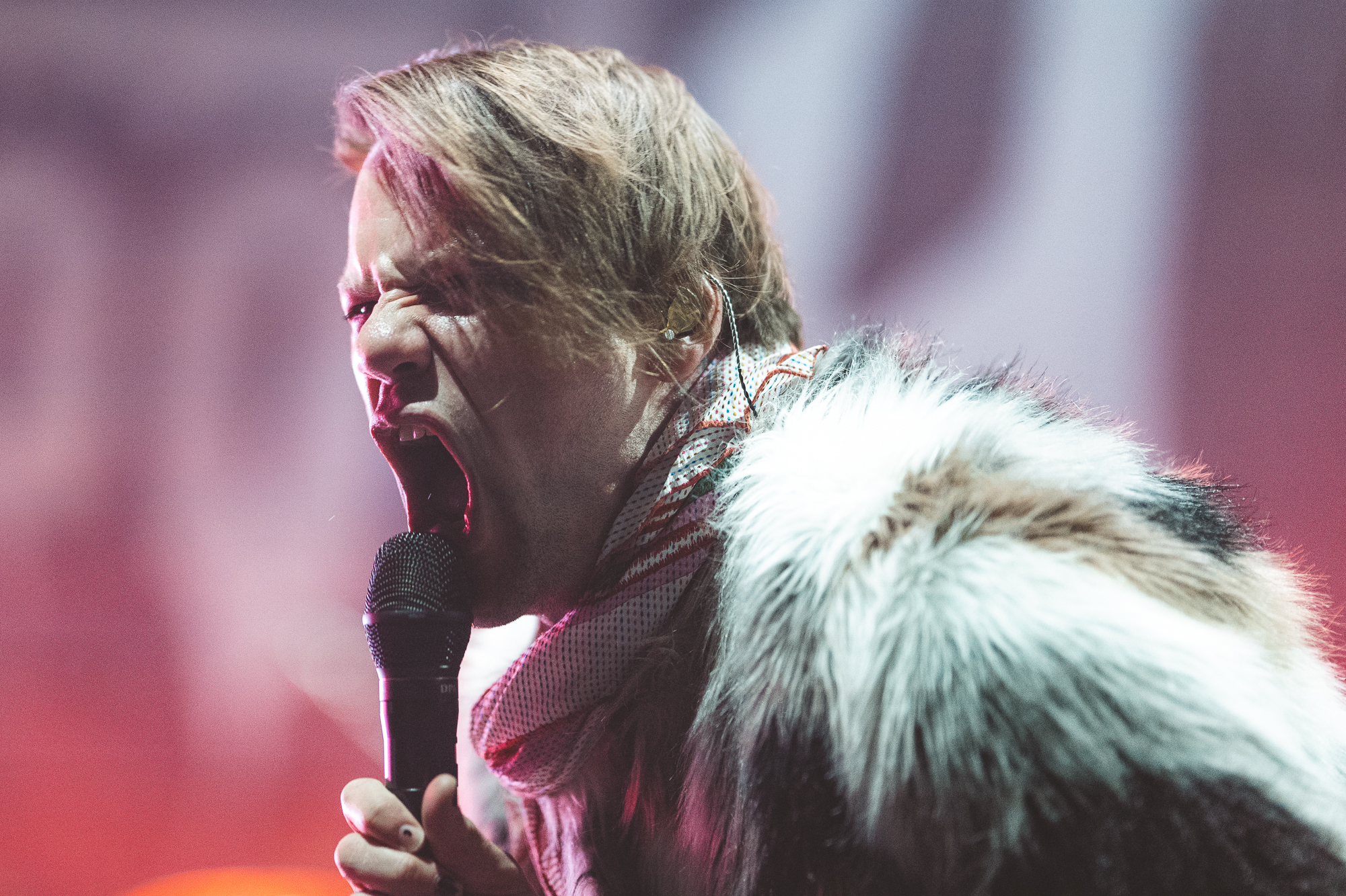 260314_Murphy_Beartooth-18