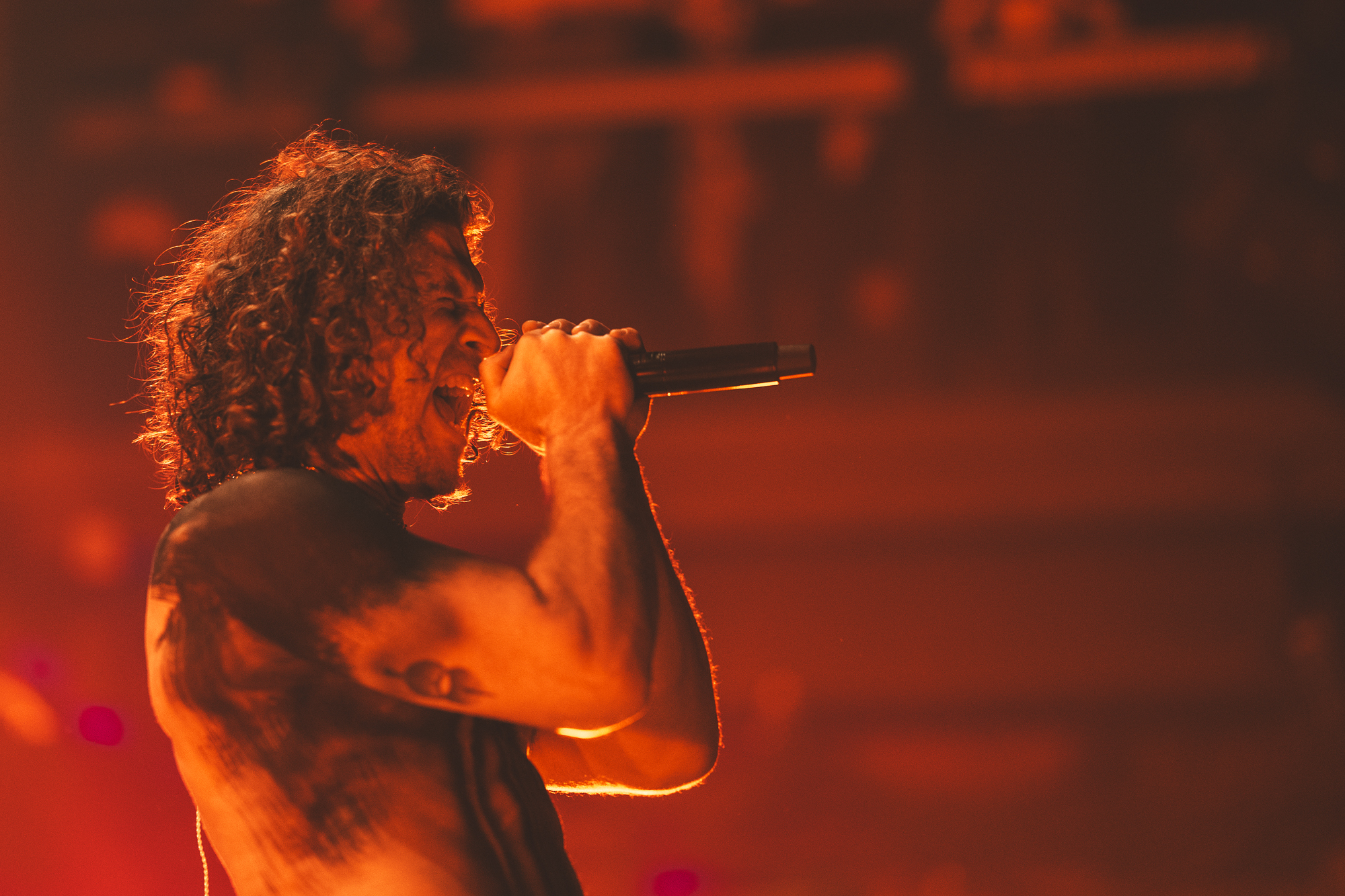 Murphy_NothingMore-22