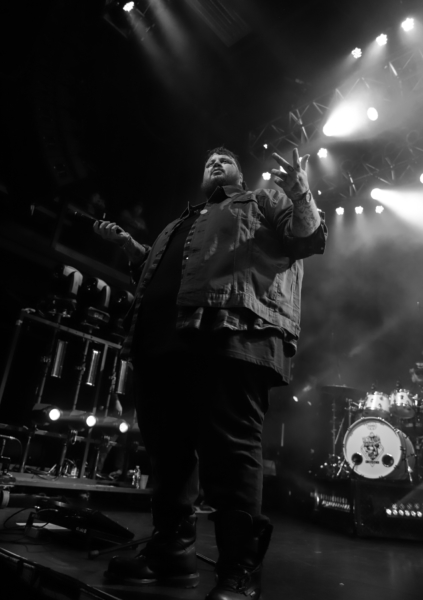 jelly roll and band-5