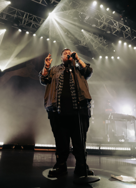 jelly roll and band-80