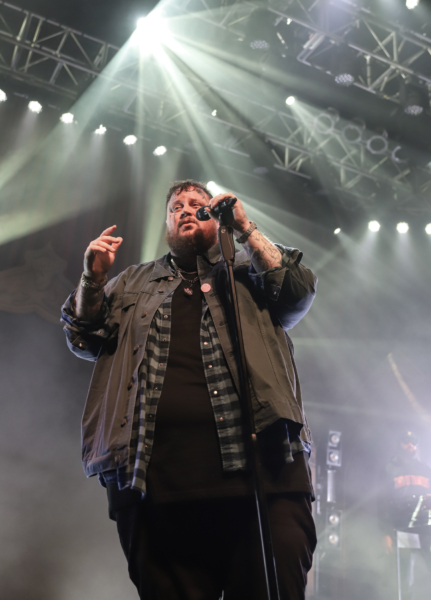 jelly roll and band-81