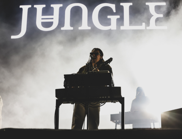 Jungle-25